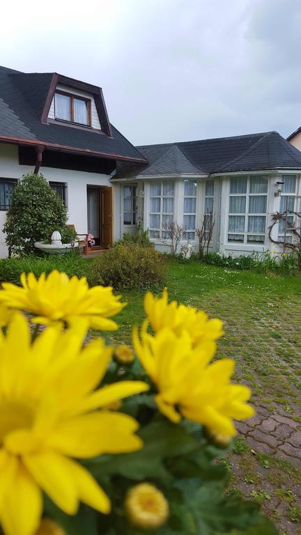 Pension Elbrs Mariënbad Buitenkant foto