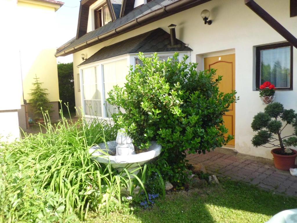 Pension Elbrs Mariënbad Buitenkant foto